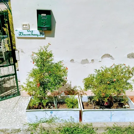 Chez L'homme Tranquille Arena Metato